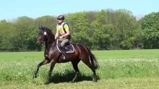 Bernhard Neunteufel - Miss Austria - CIC* - Milak 2016
