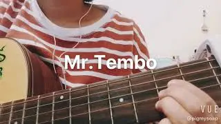 Damon Albarn-Mr.Tembo cover