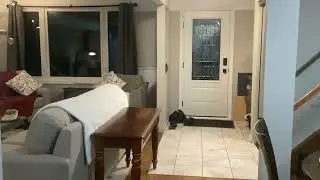 Airbnb walk thru Brights Grove, Canada 