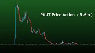 PNUT Coin Live Price Action | Bitcoin live trading  | Crypto live trading #pnut #BitcoinTrading