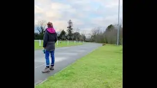 Tyre chase! Raffy the Cavapoo puppy