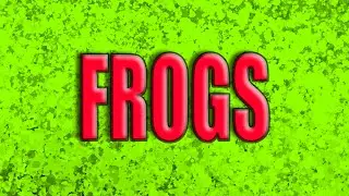 Frogs!