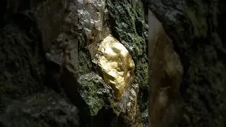 Find gold nugget 17 #shorts #gold #gemstone