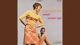 Sweet Honey Bee