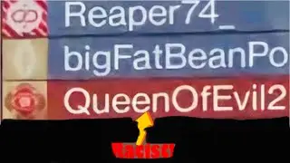 Racist gets smashed up on Destiny 2