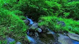 Mountain Stream Sounds &ndash; Relaxing Water Flow & Nature White Noise for Sleep