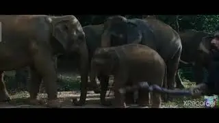 Aranya movie trailer