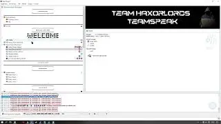 TS3 2 GBİT DDOS ATTACKS