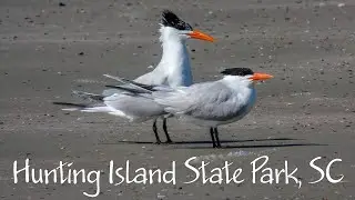 Hunting Island State Park, South Carolina