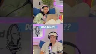 AITA for serving my MIL the &ldquo;dog&rsquo;s&rdquo; water? #mil #reddit #aita #redditaita #dog