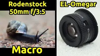 Rodenstock EL-Omegar 50mm f/3.5 - Macro Sample Images