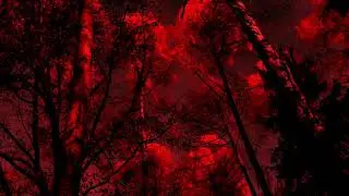 Enter If You Dare: Crimson Forest Nightmare