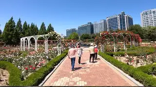 4K Walking Tour South Korea | Ilsan Lake Park in Goyang City UHD