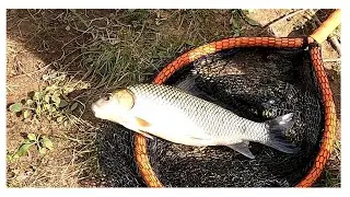 You WON&rsquo;T believe how this fish was caught!!! (Quillback Carpsucker)