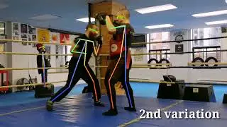 COMPUTER VISION FIGHTING ARTS PROJECT