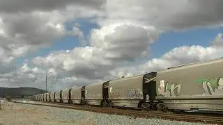 CBH119 and CBH118 on 3S56