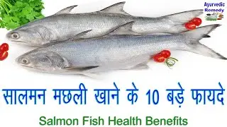 सालमन मछली के फायदे | Salmon Fish Benefits | The Amazing Benefits Of Eating Fish | Fish In Hindi