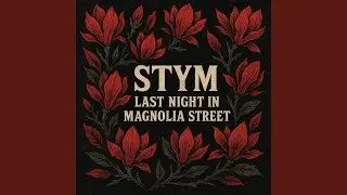 Last night in Magnolia street