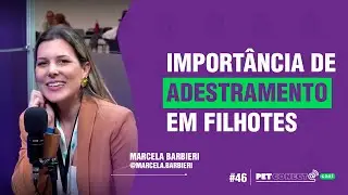 Import&acirc;ncia de adestramento em filhotes com Marcela Barbieri - PET Conecta Cast #46