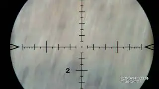 Vector Tauron 5 30x56 Gen II FFP Tracking and Recoil Test