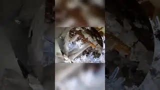 Короткометражные ролики 