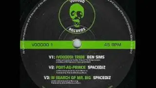 SpaceDjz-In Search of Mr.Big
