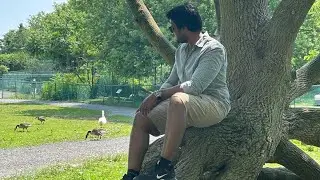 Jungle Cat 🐈 World | July 2024| Day trip from Toronto