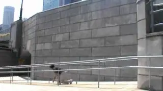The Freerun Challenge 2011 