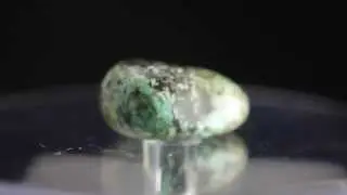 African Turquoise