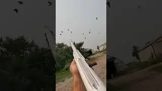 Эпическое приключение охоты на птиц | Дикие выстрелы и экшн на природе #birdhunting