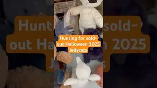 В поисках редких распроданных плюшевых медуз-котов к Хэллоуину 2025 года: Брукса Бэта, Фокуса Вор...