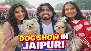 🐶 Dog Show Jaipur – Full Paw-sitivity!
