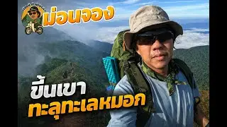 ดอยม่อนจอง “เดินฝ่าหมอก ไปกอดฟ้าที่ม่อนจอง”
