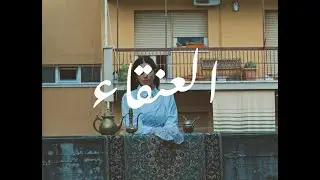 T&Auml;RA - Araba Fenice 