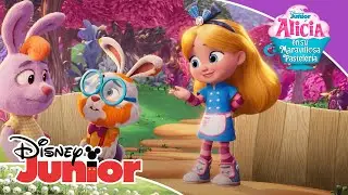 Alicia en su maravillosa pastelería: ¡Zanahorias! | Disney Junior Oficial
