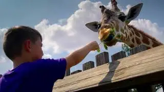 OKC ZOO Sanctuary Asia &ndash; Sage Commercial