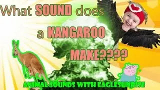 Baby Genius or Imbecile? Funny Farting Animals Compilation. What sound does a kangaroo make?