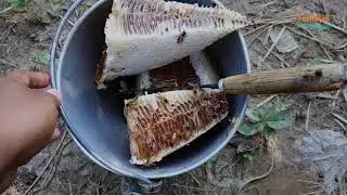 গ্রামীন চাকের মধু । চাকের কোন অংশে মধু হয়। অভিজ্ঞতা দিয়ে বুঝা যায় চাকে মধু হয়েছে কি না