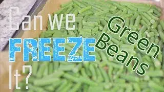 CAN YOU FREEZE Fresh Green Beans?