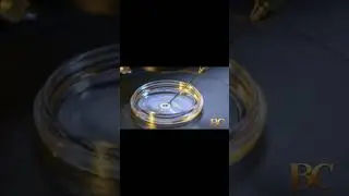 Ученые используют технологию клонирования для обмена ДНК в человеческих яйцеклетках