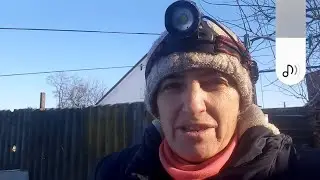 ПОСАДИЛА ЦИБУЛЮ.