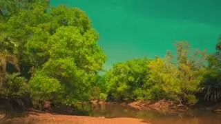 Drone short cinematic video tulsibani West Bengal my village nature 