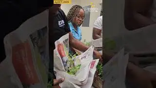 IICA promotes backyard gardening for food security