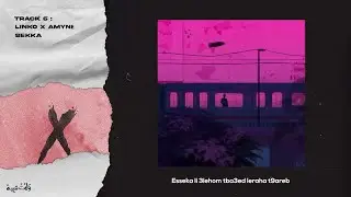 Linko &times; Amyne - Sekka 🚂