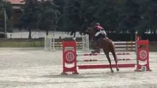 Zengo 11 yo ***Eventer with a 9 yo girl