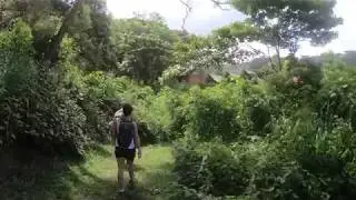 Trekking in Knuckles Mountain Range
