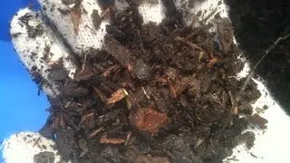 511 container mix
