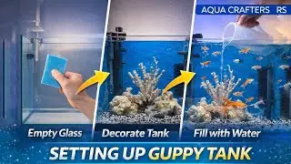 From Empty Tank to Beautiful Aquarium in 2 Minutes