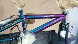 Chromacoat green