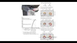 Mechanical chemical coupled phase field model for corrosion cracking of reinforced concrete Comsol